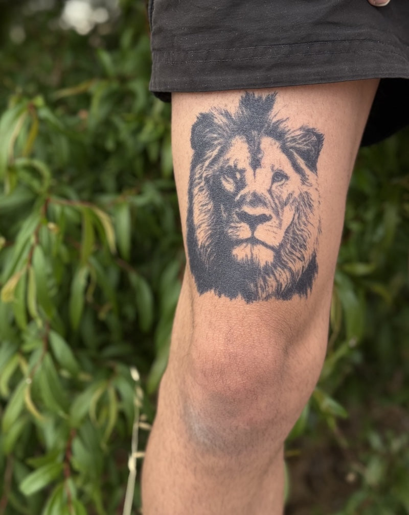 Alpha Lion Semi-Permanent Tattoo Design