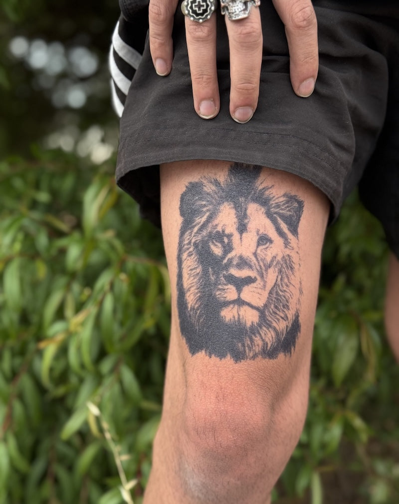 Alpha Lion Semi-Permanent Tattoo Design
