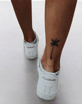 Palm